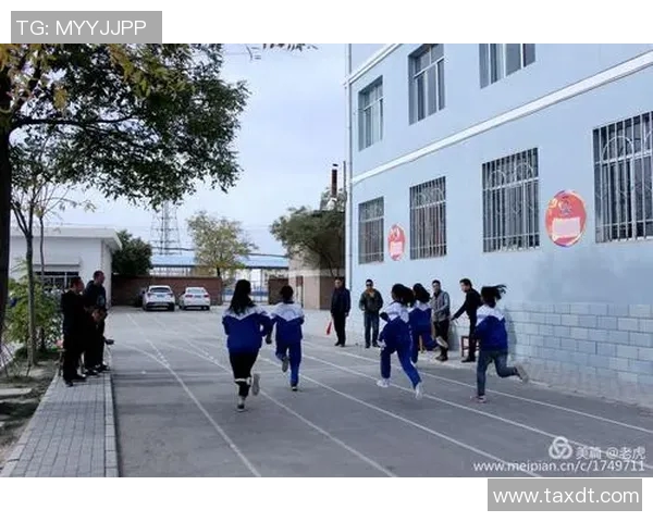 李强独家分享排球心得与技巧助你提升球技的秘诀与经验