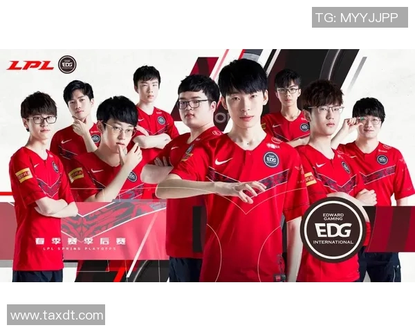 赛后复盘：解析北京排球队与上海排球队的团队协作与战术配合