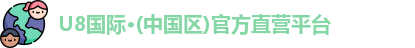U8国际